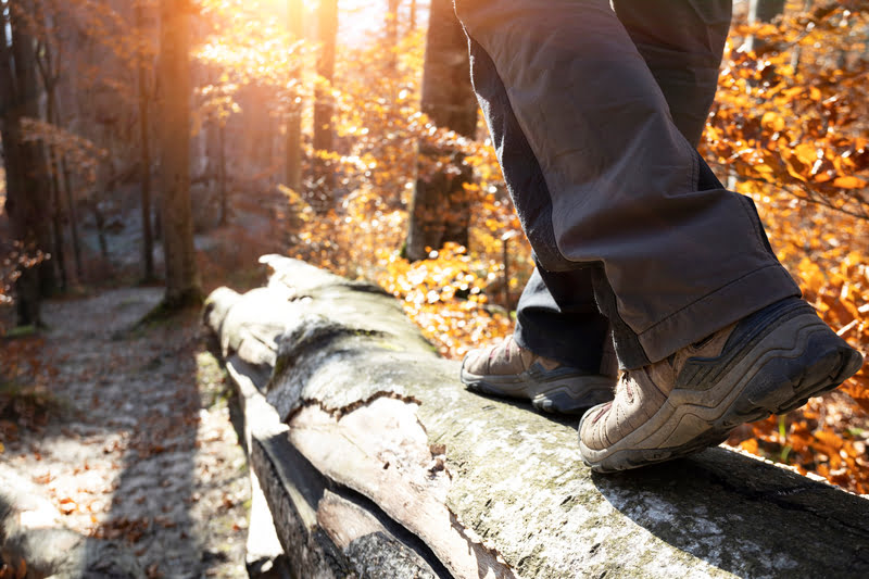 Hiking Boots