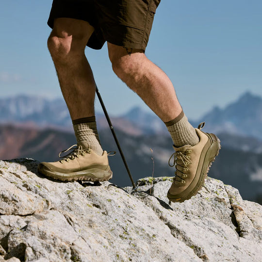 Danner Men's MTN45 3" Slip Resistant Lace Up Hike Boot- Desert- 31851 - Overlook Boots