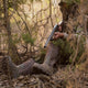 Muck Alpha Pursuit Men's 15" Waterproof Snake Boot - Camo - MTPMBTM - Overlook Boots