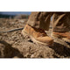 Timberland Pro Men's Titan Evolution 6" Soft Toe Waterproof Work Boot- Brown- TB1A5M2T214 - Overlook Boots